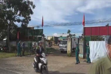 Xét xử vụ giết người chôn xác 2 lần trong rẫy cà phê