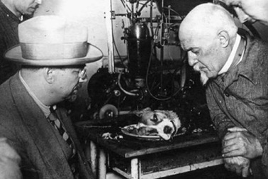 Những câu chuyện thú vị về cải tử hoàn sinh