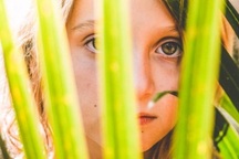 Những từ ngữ con người dùng để miêu tả thiên nhiên đang dần biến mất