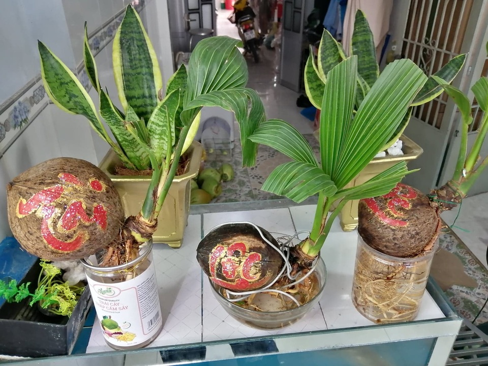 Nữ sinh Bạc Liêu đam mê “thổi hồn” vào thư pháp - 8 Nữ sinh Bạc Liêu đam mê “thổi hồn” vào thư pháp - 8