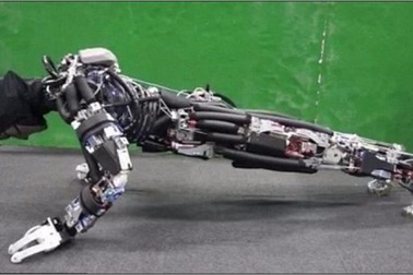 Robot biết chống đẩy và... toát cả mồ hôi