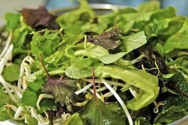 Ăn rau sống - Mối nguy ít người biết