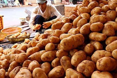 Phải chặn hàng Trung Quốc mượn đường sang Mỹ!