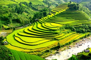 Mê mẩn với những thửa ruộng bậc thang đẹp như tranh vùng Tây Bắc