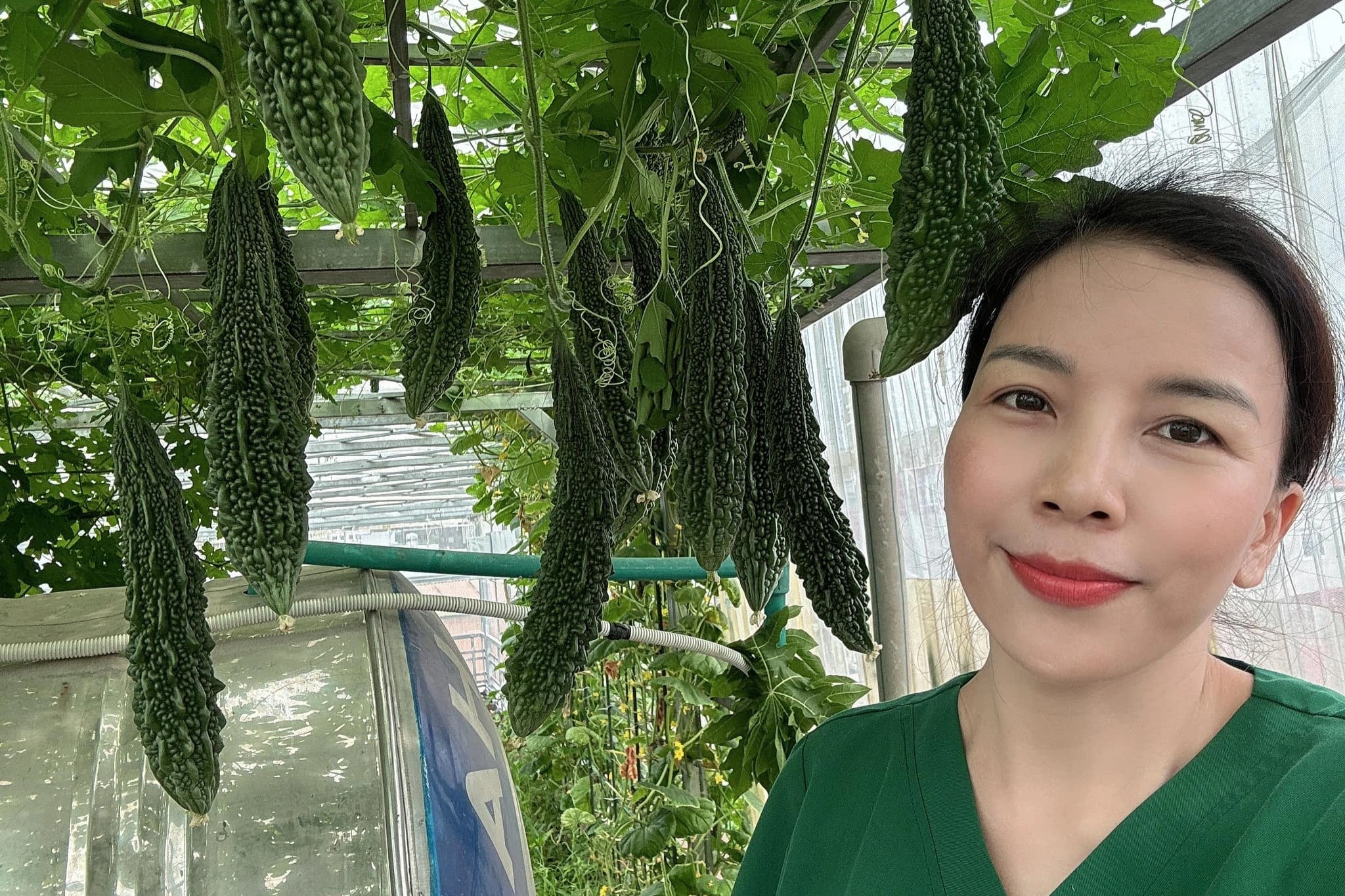 Nữ bác sĩ ở Hà Nội biến sân thượng tầng 6 thành khu vườn ngập rau trái - 1 Nữ bác sĩ ở Hà Nội biến sân thượng tầng 6 thành khu vườn ngập rau trái - 1