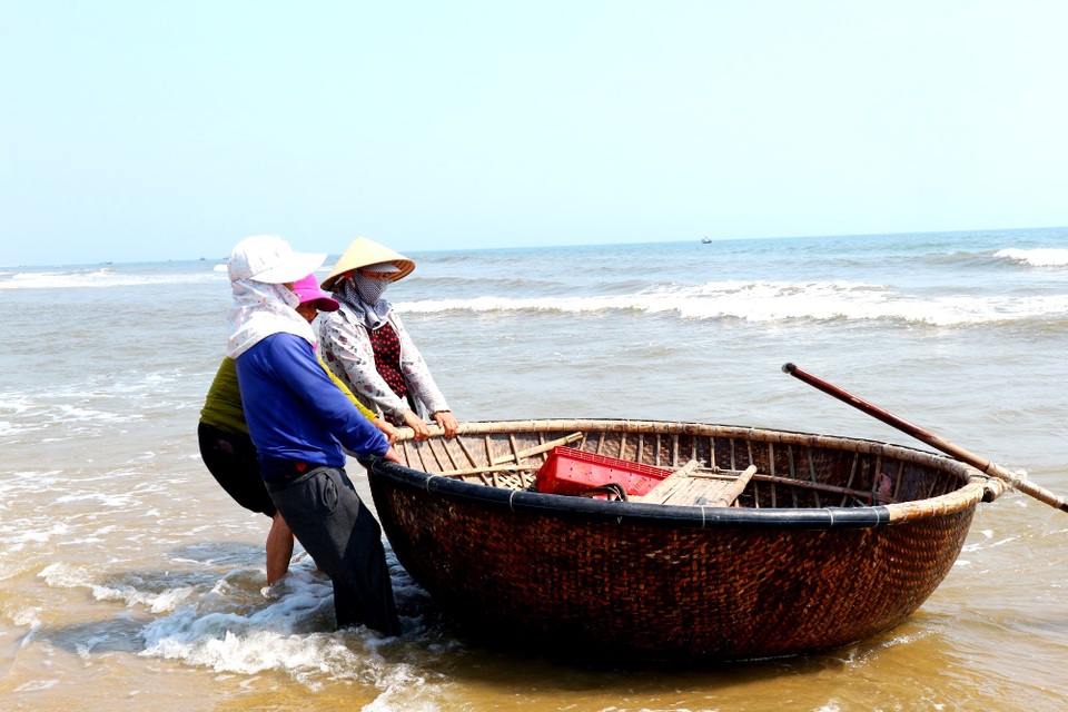 Ngư dân Quảng Nam trúng mùa ruốc biển - 1 Ngư dân Quảng Nam trúng mùa ruốc biển - 1