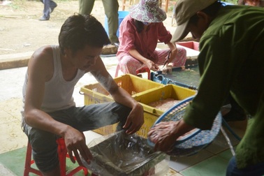 Tăng trọng lượng mỡ nước bằng hóa chất Trung Quốc