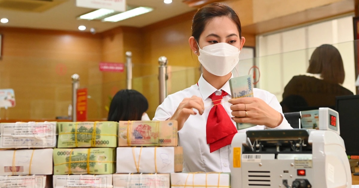 dantri.com.vn