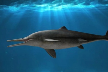 Phát hiện "quái vật" mới: tự biến đổi thành "máy nghiền thịt"