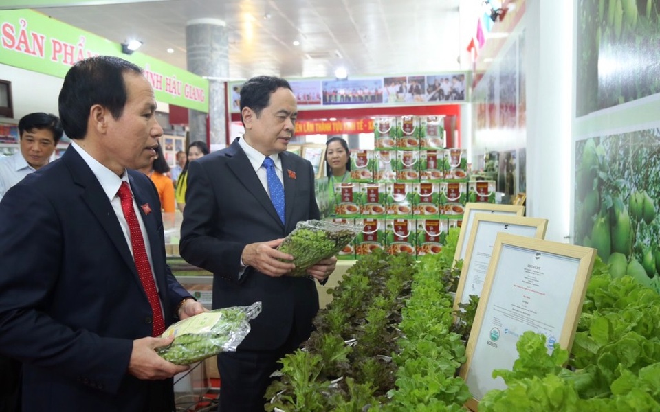 Gửi gắm niềm tin vào nỗ lực phát triển của Hậu Giang qua câu thơ Tố Hữu - 2 Gửi gắm niềm tin vào nỗ lực phát triển của Hậu Giang qua câu thơ Tố Hữu - 2