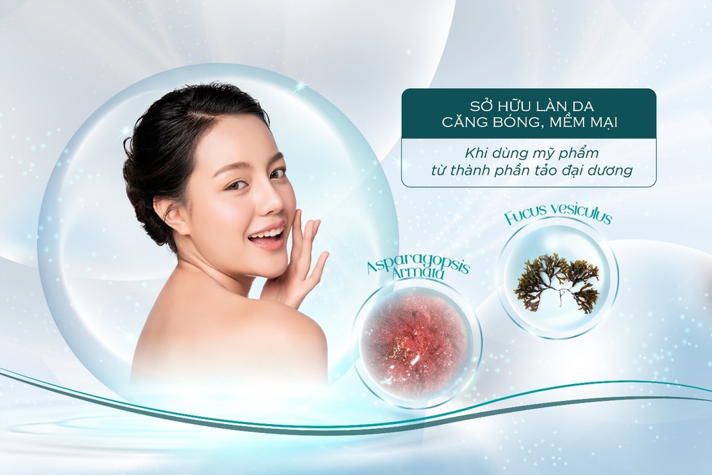 Công dụng tái tạo da của tảo đại dương - 3 Công dụng tái tạo da của tảo đại dương - 3