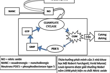 “Trên nói dưới không nghe": Cùng phe tuổi tác