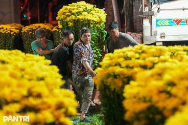 Rộn ràng chợ hoa Tết: Tiểu thương xuyên đêm đưa "mùa xuân" về TPHCM