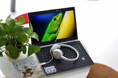 Định giá Windows bản quyền: nền tảng bảo vệ từ gốc trong thời đại số