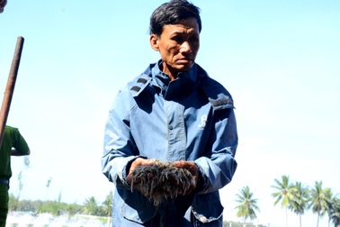 Hơn 10 vạn con tôm nuôi chết trắng hồ, nghi do bị đầu độc