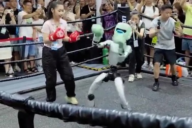 Trận đấu võ tự do giữa con người và robot