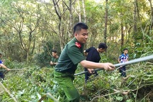 Tuổi trẻ Nghệ An sôi nổi với nhiều chiến dịch tình nguyện hè 2020