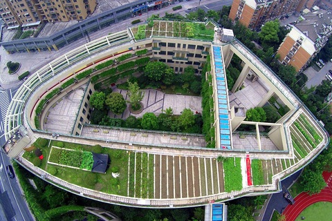 "Ốc đảo" rau hữu cơ xanh mướt trên nóc trường tiểu học