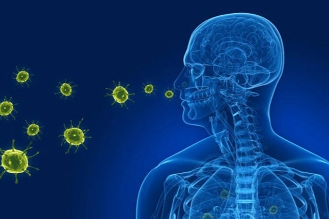 Virus gây viêm phổi HMPV đã lưu hành ở TPHCM - 1