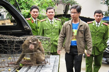 Huế: Chặn trục đường buôn bán trái phép động thực vật hoang dã