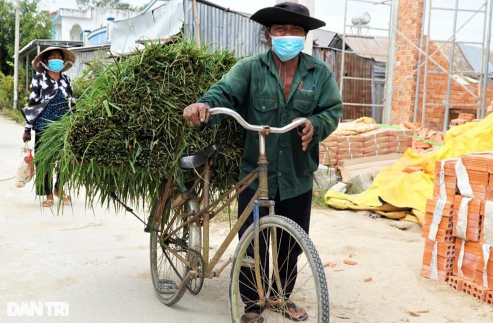 Nghề độc, lạ ở miền Tây, chỉ buôn bán mỗi cỏ dại mà đắt như tôm tươi - 2 Nghề độc, lạ ở miền Tây, chỉ buôn bán mỗi cỏ dại mà đắt như tôm tươi - 2