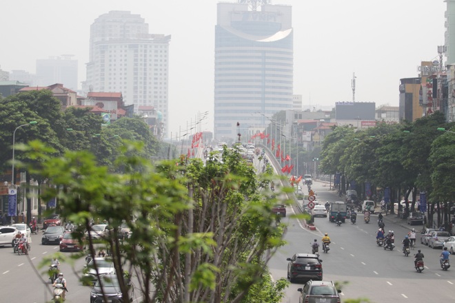 Nắng nóng thiêu đốt hàng trăm cây phong lá đỏ sống như chết khô - 20 Nắng nóng thiêu đốt hàng trăm cây phong lá đỏ sống như chết khô - 20