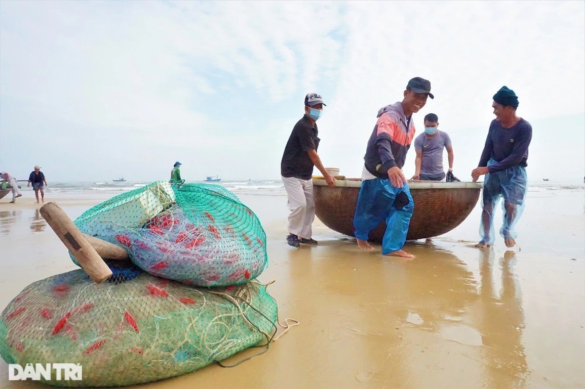 Bám biển vài tiếng, ngư dân thu tiền triệu nhờ ngón nghề tay trái - 1 Bám biển vài tiếng, ngư dân thu tiền triệu nhờ ngón nghề tay trái - 1