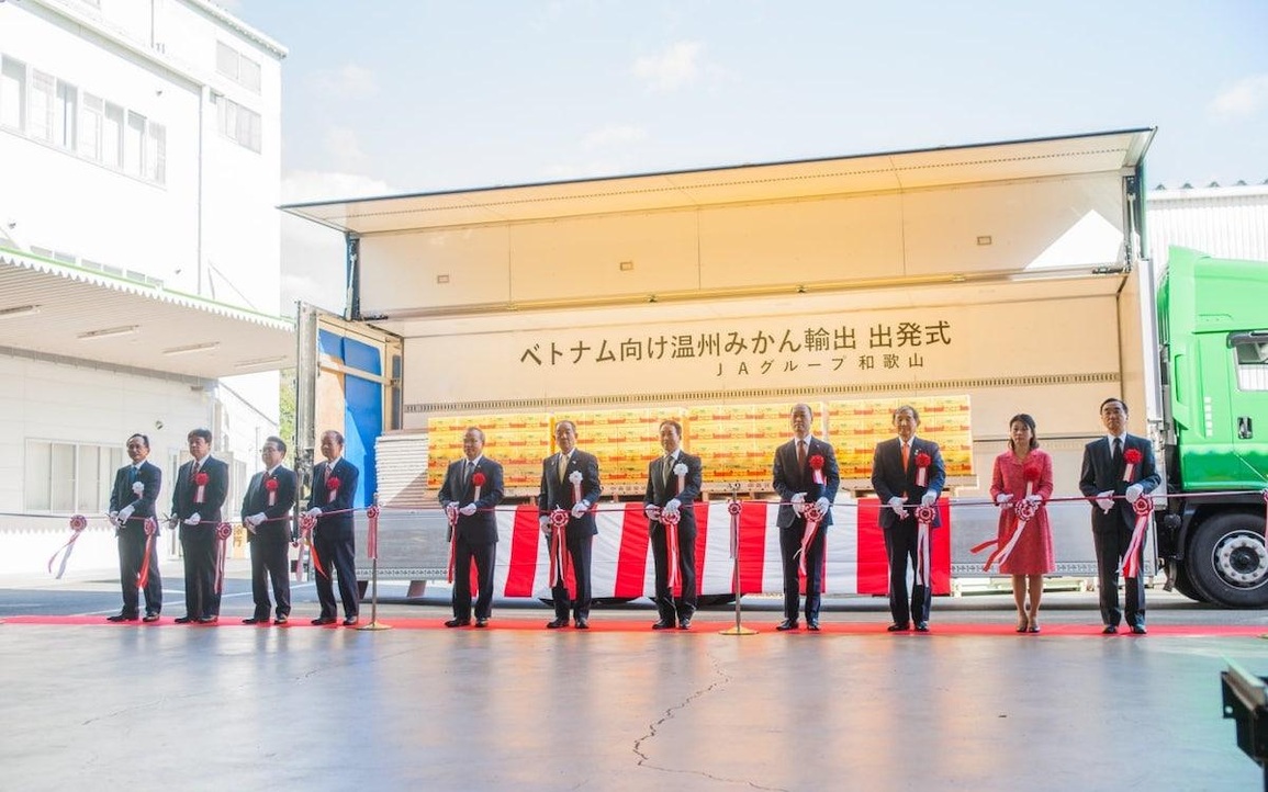 Quýt Unshu của Nhật Bản đã có mặt tại Việt Nam - 1