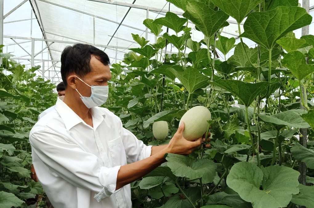 22,8 tỷ đồng chi đào tạo nghề cho 12.000 lao động nông thôn - 2 22,8 tỷ đồng chi đào tạo nghề cho 12.000 lao động nông thôn - 2