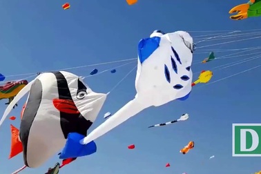 ​Lễ hội diều cho trẻ em trước giờ G