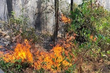 Gần 200 người xuyên đêm dập tắt đám cháy rừng thông