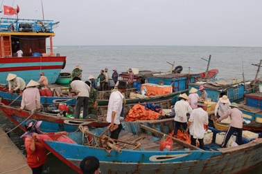 Cá tầng nổi “an toàn”, người tiêu dùng vẫn “né tránh” hải sản