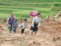 Một trường tiểu học bị xóa sổ sau mưa lũ