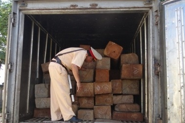 Bắt xe đông lạnh chở gỗ lậu quý hiếm