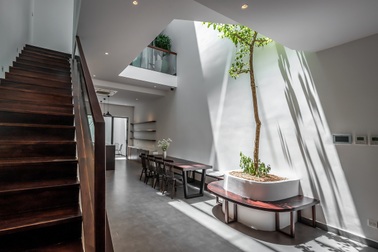 Nhà phố Sài Gòn "thoáng như ở quê" nhờ sân vườn trồng cây xanh mát