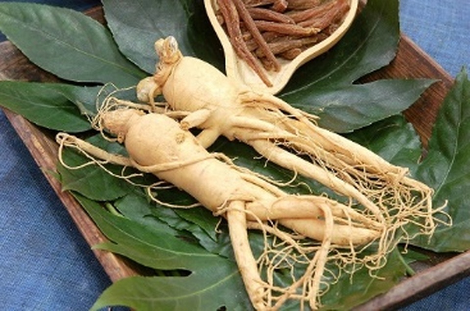 5 thảo dược quý không thể bỏ qua trong việc hỗ trợ tăng cường sinh lý ở nam giới - 3 5 thảo dược quý không thể bỏ qua trong việc hỗ trợ tăng cường sinh lý ở nam giới - 3