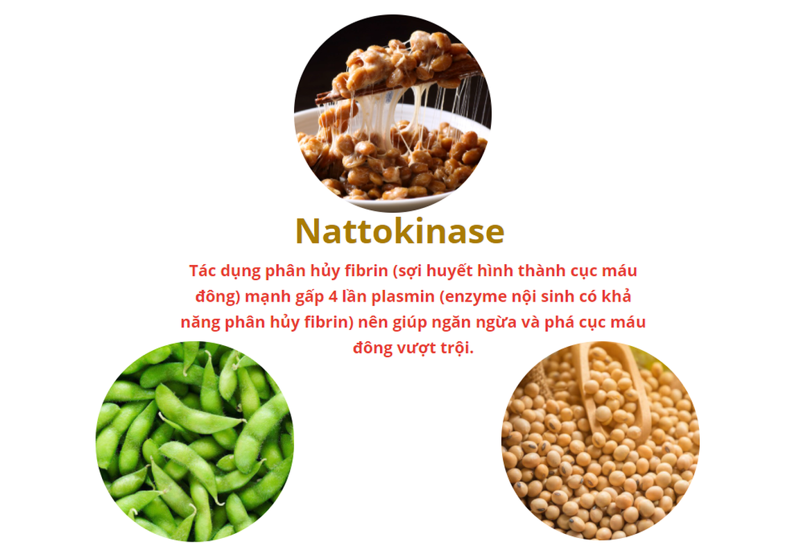 Cải thiện bệnh tắc nghẽn mạch máu não nhờ sản phẩm Nattospes - 3 Cải thiện bệnh tắc nghẽn mạch máu não nhờ sản phẩm Nattospes - 3