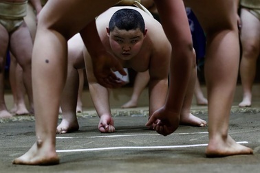 Nhà vô địch sumo Nhật Bản ở tuổi lên 10