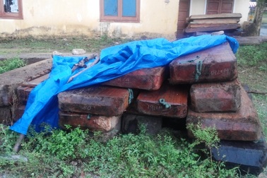 Tài xế bị phạt 480 triệu đồng vì sở hữu, vận chuyển gỗ lậu