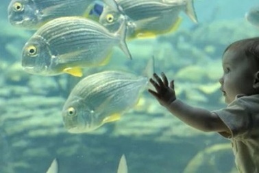 Thành phố Nam Phi này có điều gì hấp dẫn mà du khách từ khắp nơi ùn ùn kéo tới?