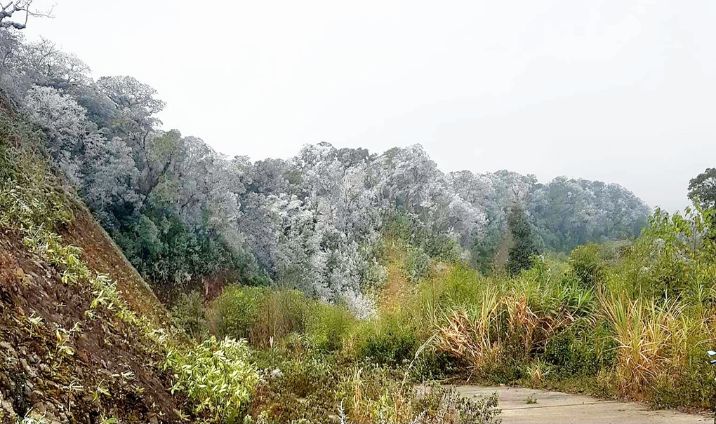 FB_IMG_1671338969955-edited.jpeg băng_tuyết .jpeg