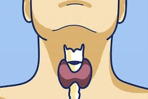 Ích Giáp Vương hỗ trợ giảm triệu chứng tuyến giáp, ngăn ngừa Basedow