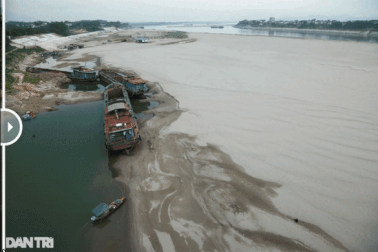 Nước sông Đà dâng cao, nhiều bãi bồi biến mất