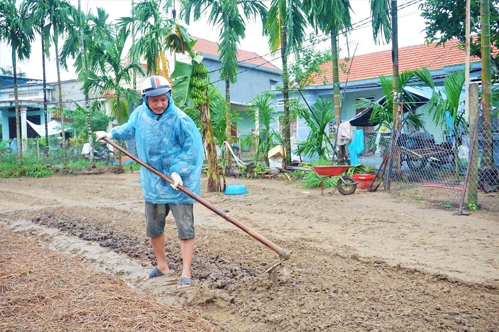Nông dân đội mưa xuống giống hoa, vừa trồng vừa lo lụt, mất Tết - 12 Nông dân đội mưa xuống giống hoa, vừa trồng vừa lo lụt, mất Tết - 12