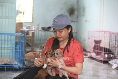 Người “mẹ” của những chú chó, mèo hoang ở Đà Nẵng