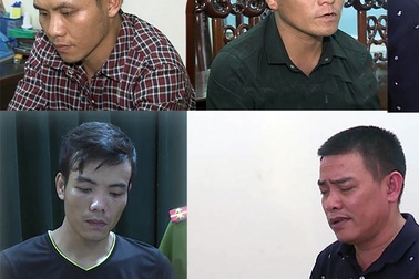 15 ngày bắt hai vụ vận chuyển 40 bánh heroin