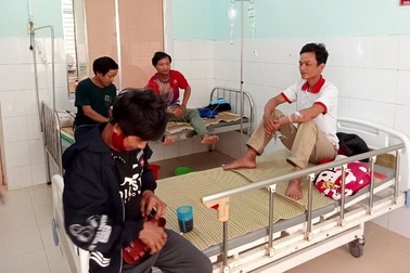 Ăn nấm lạ hái trong rừng, 5 người bị ngộ độc