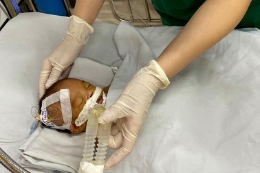 Bé trai sơ sinh bị bỏ rơi hôn mê trước cổng chùa