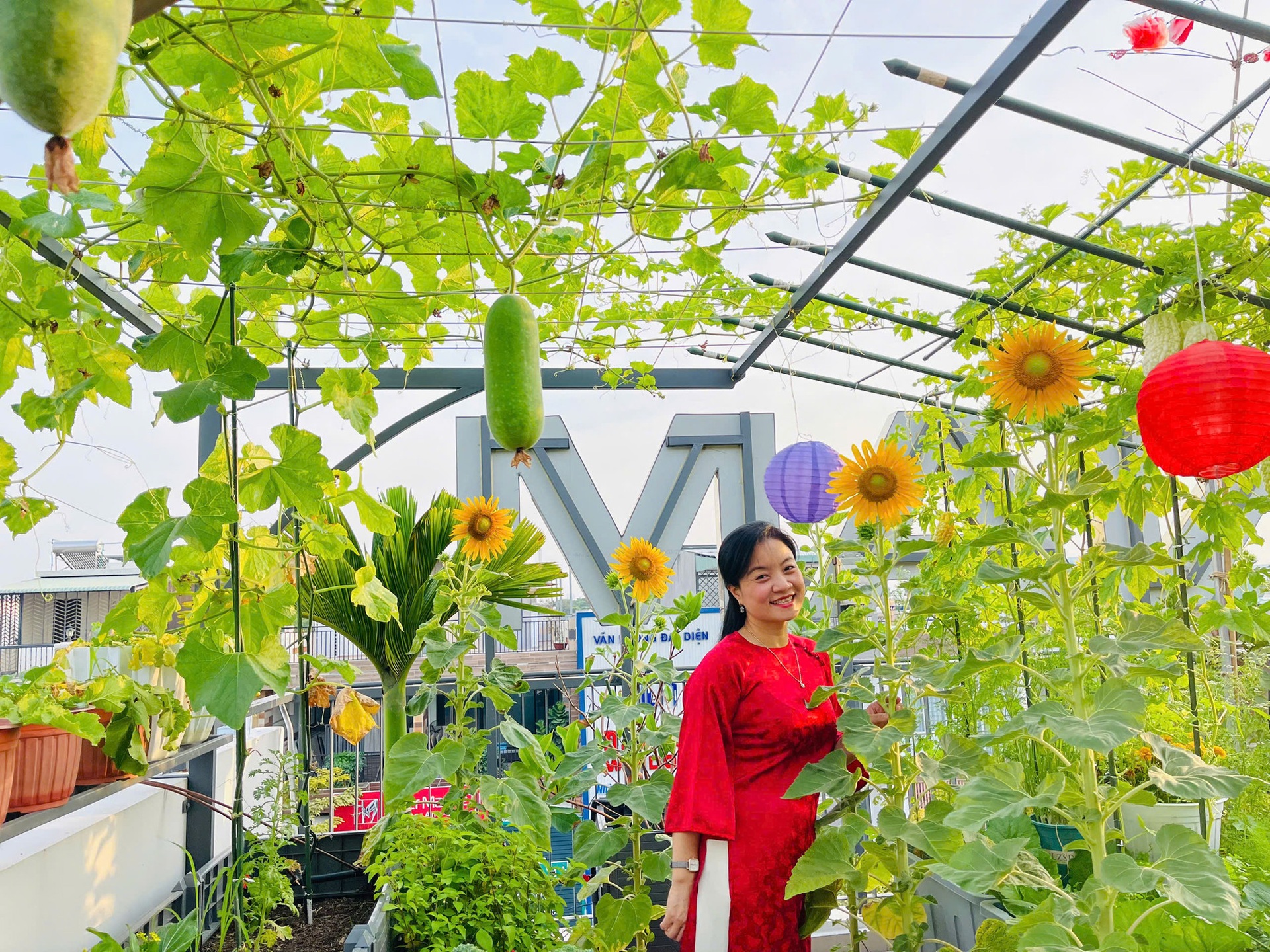 Mẹ đảm Đồng Nai trồng rau trái trên sân thượng 100m2 ăn quanh năm - 1 Mẹ đảm Đồng Nai trồng rau trái trên sân thượng 100m2 ăn quanh năm - 1