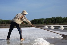 Diêm dân "đắng lòng" khi bán 1 kg muối chưa mua được viên kẹo